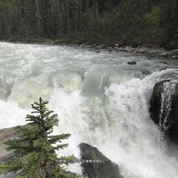 Location: Sunwapta Falls, Jasper, Canada | August, 2022
Date: 2022-08-06