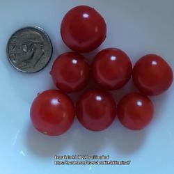 Location: Chicago, Illinois
Date: 2022-08-22
Sweet Pea Currant Tomatoes - simply delicious