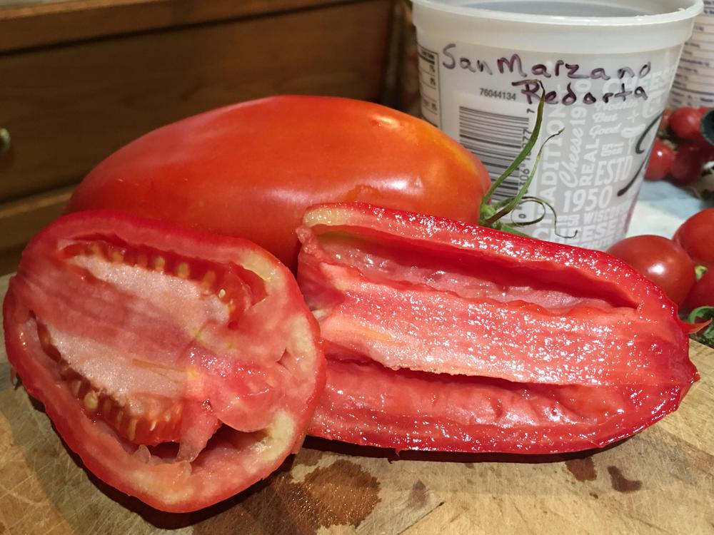 Photo of Tomato (Solanum lycopersicum 'San Marzano Redorta') uploaded by antsinmypants
