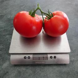 Location: My garden in Bark River, MI
Date: 2022-09-15
Weight of the 2 tomatoes is 1 pound 7-3/4 ounces, an average of a