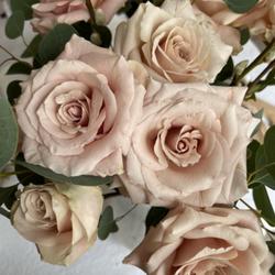 Location: CA
Date: January 2022
Bouquet of blooms of Quicksand Roses