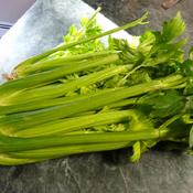 'Ventura' celery