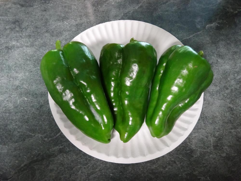 Photo of Hot Pepper (Capsicum annuum 'Ancho Gigantia') uploaded by Weedwhacker