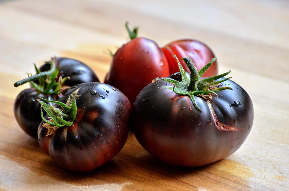 Photo of Tomato (Solanum lycopersicum 'Black Beauty') uploaded by Callahan90035