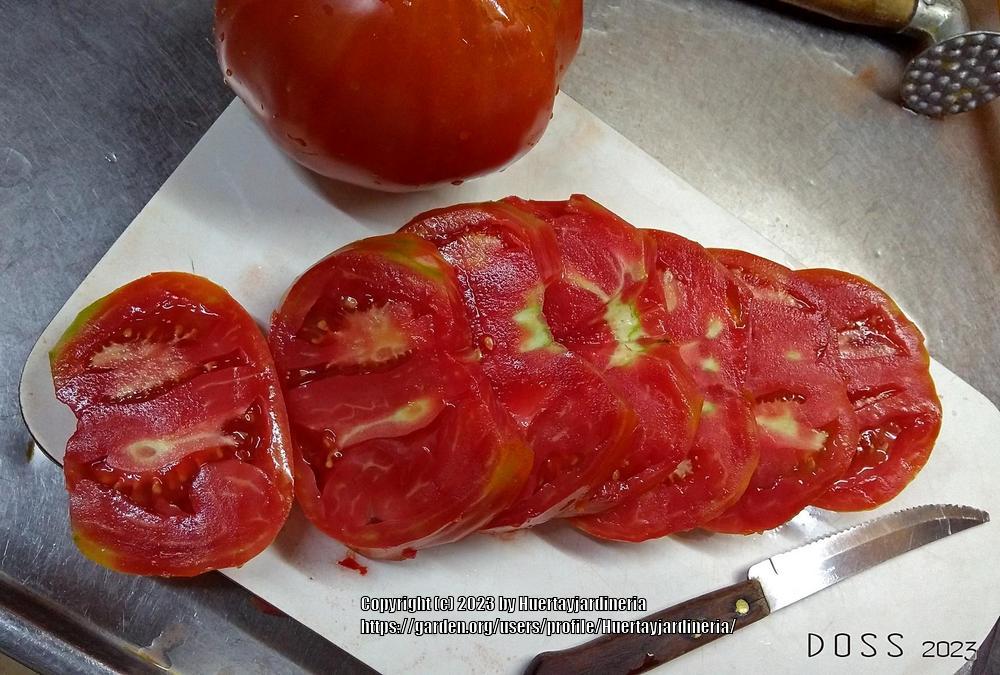 Photo of Tomato (Solanum lycopersicum 'Brandywine, Pink') uploaded by Huertayjardineria