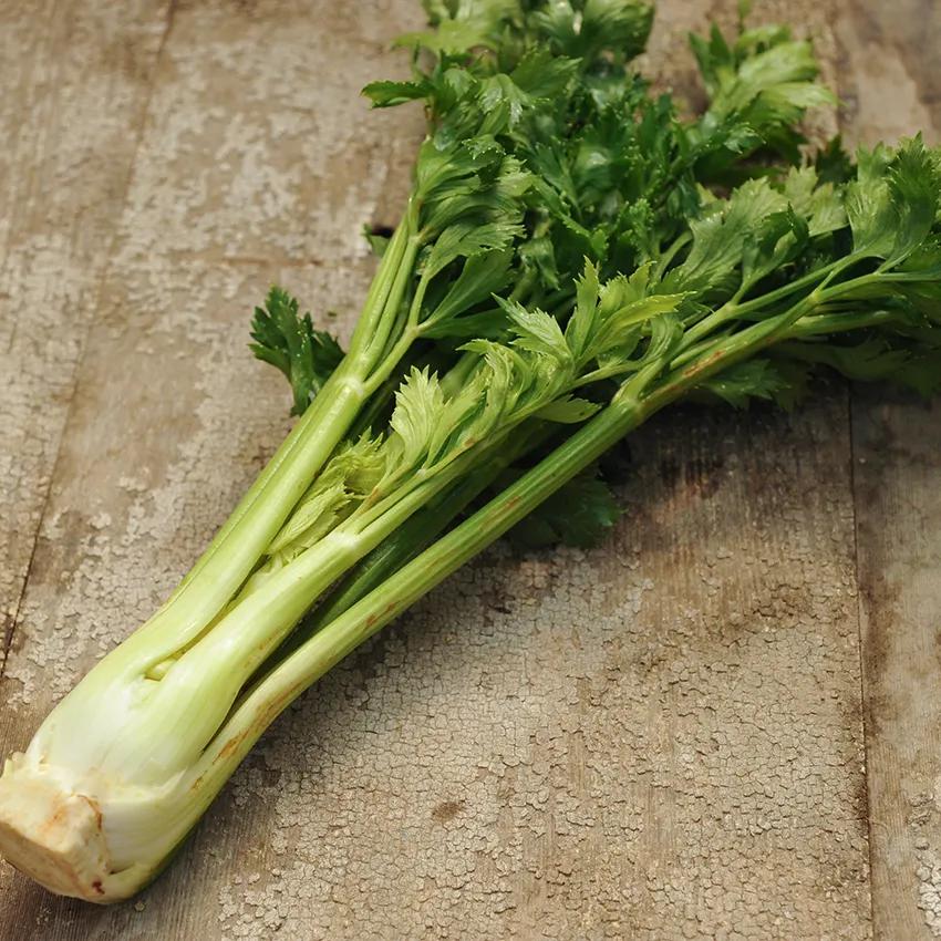 Photo of Celery (Apium graveolens var. dulce 'Tall Utah') uploaded by Joy