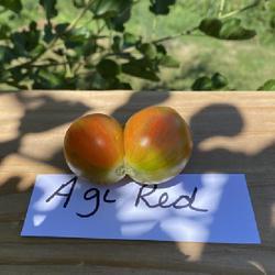 Location: Sioux Falls, South Dakota
Date: Summer 2023
Agi Red Tomato - CElisabeth