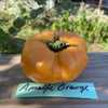 Amalfi Orange Tomato - CElisabeth