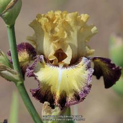 Uploaded by Valery33 Uploaded by Valery33