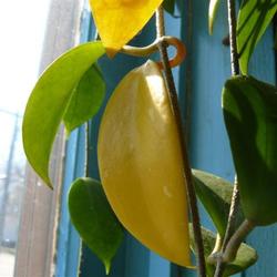 2010-03-26/threegardeners/206309