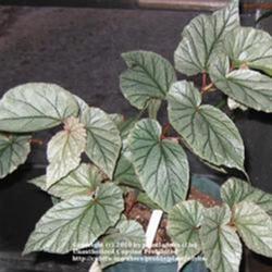 2010-05-01/threegardeners/b8961f