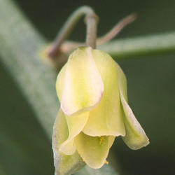 2011-03-26/Mindy03/da72e8