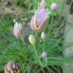 2011-06-01/Mindy03/c60e7a