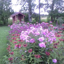 2011-07-18/threegardeners/0deab4
