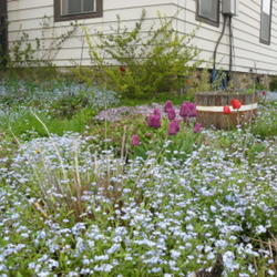 2011-07-18/threegardeners/102768