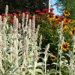 2011-07-18/threegardeners/1c830a