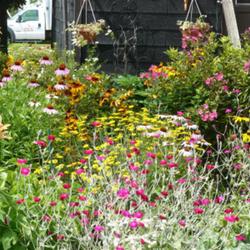 2011-07-18/threegardeners/38816b