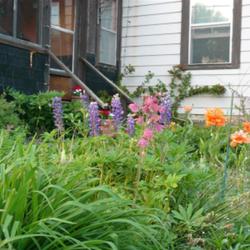 2011-07-18/threegardeners/3d3491