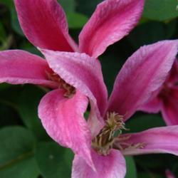 2011-07-18/threegardeners/73fd96