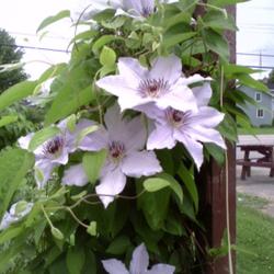 2011-07-18/threegardeners/81cc3f