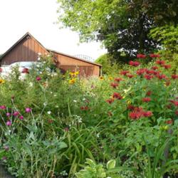 2011-07-18/threegardeners/a9d916