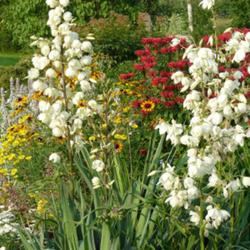 2011-07-18/threegardeners/b1b0ef