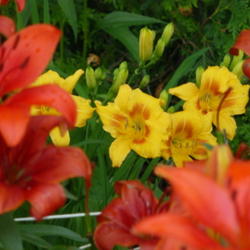 2011-07-18/threegardeners/b8577d