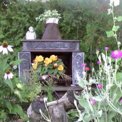 2011-07-18/threegardeners/c60cd1
