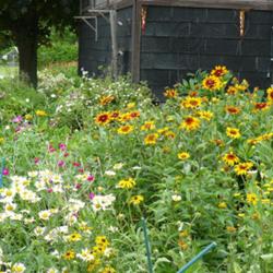 2011-07-18/threegardeners/e628c9