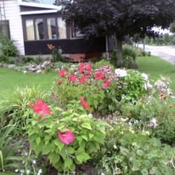 2011-07-18/threegardeners/eff6f4