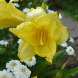 2011-07-18/threegardeners/f1aeca