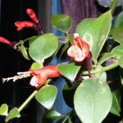 2011-07-21/threegardeners/922455