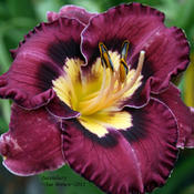 Taken at Maryott's Daylily Gardens