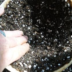 2011-08-25/threegardeners/893aae