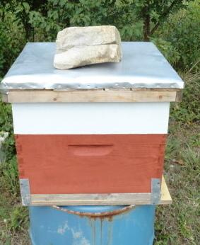 Setting Up Your Bee Yard - Setting Up the Hive - Garden.org