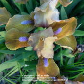 Location: Lincoln, NE