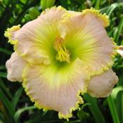 Photo courtesy of Bill Jarvis