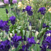 Location: iowaDate: 2010-05-19