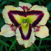 Date: 2008-09-22Photo courtesy of Pat Stamile