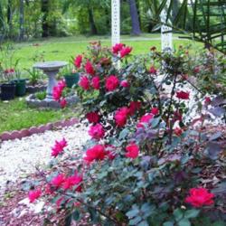 2012-01-15/Debbie/51f750