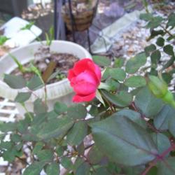 2012-01-15/Debbie/c9d206