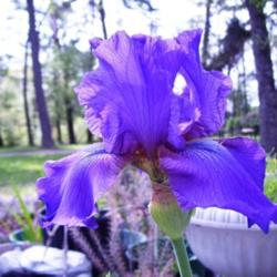 2012-01-15/Debbie/d3d44b