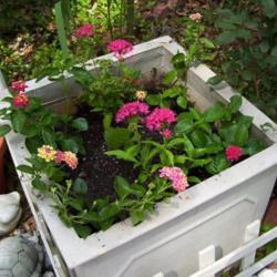 2012-01-15/Debbie/fcb852