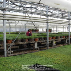 2012-02-20/Joannabanana/7e597b