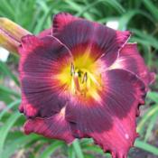 Photo courtesy of MaryAnn Pruden of Lily House