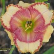 Photo Courtesy of E and B Farm Used with Permission