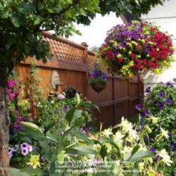 2012-04-15/Joannabanana/2b62ac