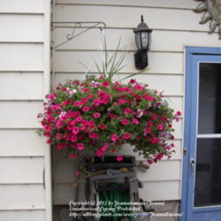 2012-04-15/Joannabanana/f82c2b