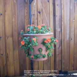 2012-04-29/Joannabanana/525e27