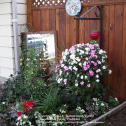 2012-04-29/Joannabanana/686a3c